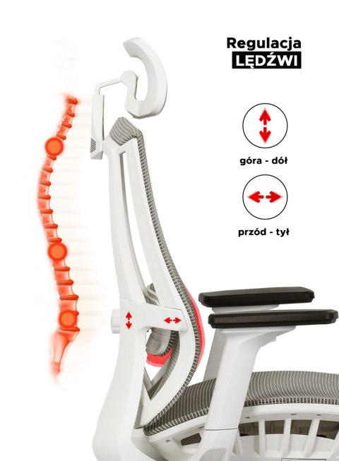 Fotel Biurowy Ergonomiczny Obrotowy SKY Beżowy Nowoczesny