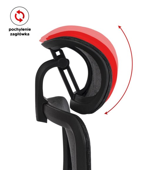 Fotel Obrotowy ROYAL Ergonomiczny Czarny