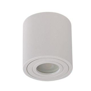AZZARDO AZZARDO lampa sufitowa / plafon BRANT IP44 biała
