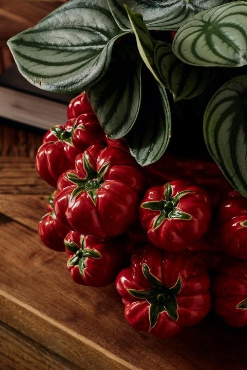 Bizzotto BIZZOTTO wazon GAZPACHO 26 czerwony