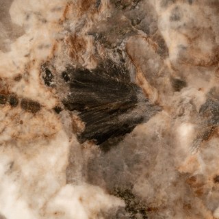 Richmond Interiors RICHMOND stolik kawowy LANGFORD brązowy