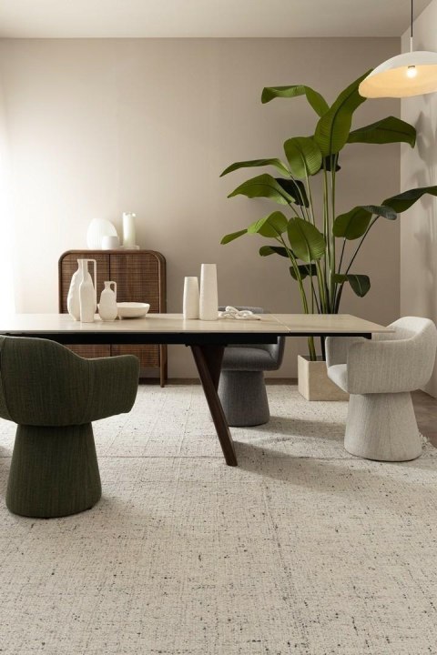 BIZZOTTO roślina dekoracyjna STRELICJA