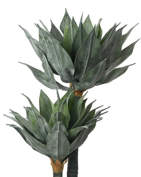 Kare Design KARE roślina dekoracyjna AGAVE 120 cm