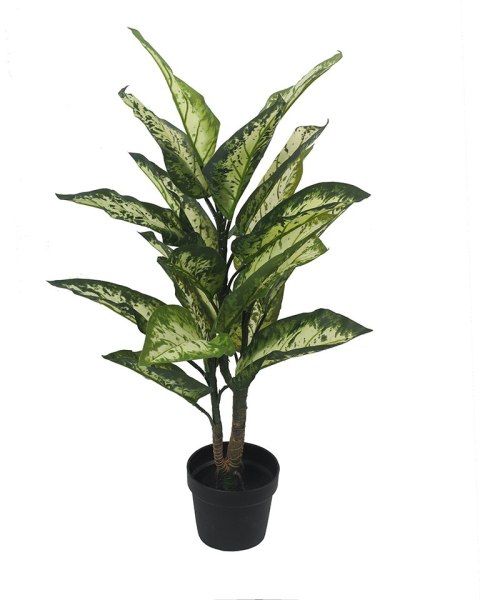 Kare Design KARE roślina dekoracyjna DIFENBACHIA 100 cm