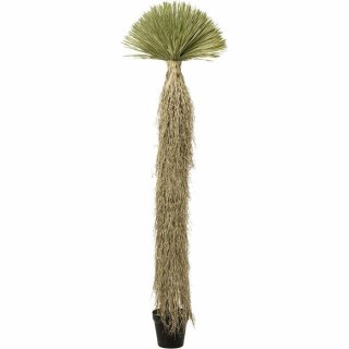 KARE roślina dekoracyjna YUCCA ROSTRATA 240 cm