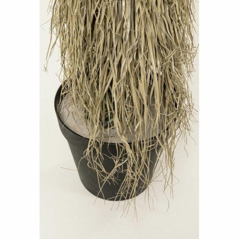 KARE roślina dekoracyjna YUCCA ROSTRATA 240 cm