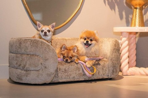 Richmond Interiors RICHMOND legowisko dla psa BINGO ciemny beż