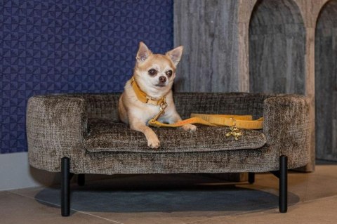 RICHMOND legowisko dla psa DOLLY ciemnobeżowe