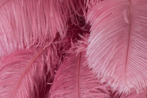 MOOSEE lampa wisząca TIFFANY 135 różowa mosiądz / naturalne pióra