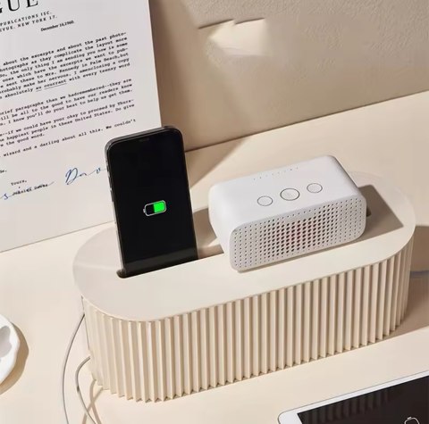 King Home Organizer na przedłużacz SHP DULE szary