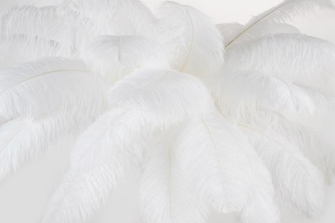 MOOSEE lampa podłogowa TIFFANY 175 biała mosiądz / naturalne pióra