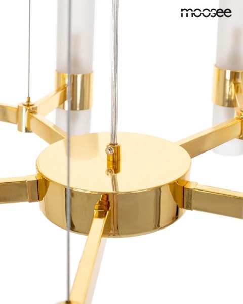 Moosee MOOSEE lampa wisząca TUBS 10 złota