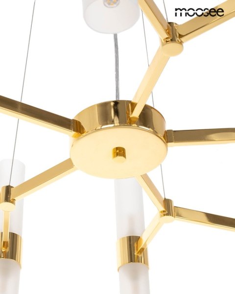 Moosee MOOSEE lampa wisząca TUBS 10 złota