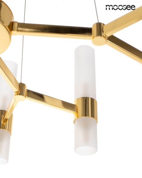 Moosee MOOSEE lampa wisząca TUBS 10 złota