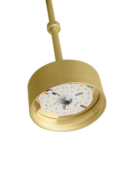 Moosee MOOSEE lampa wisząca CAPRI LINE 3 złota