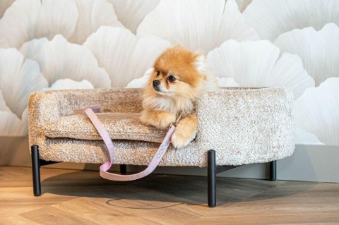 Richmond Interiors RICHMOND legowisko dla psa DOLLY beżowe