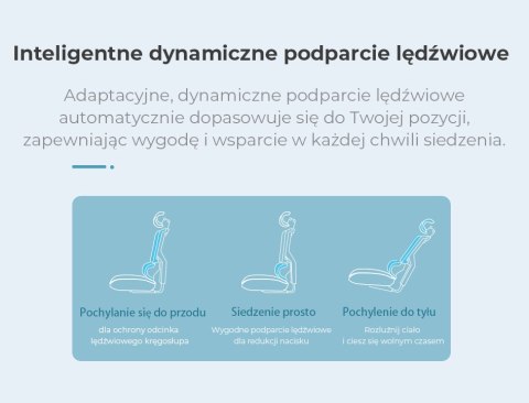 Fotel ergonomiczny ANGEL biurowy obrotowy Dakota 2.0