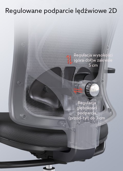 Fotel ergonomiczny ANGEL biurowy obrotowy Europa 2.0
