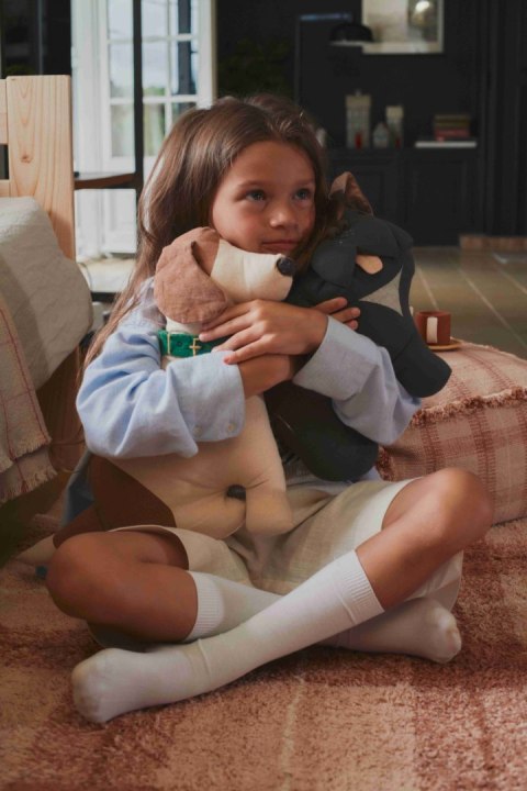 Poduszka Pies Jimmy - Buldog Francuski Wouf Wouf, Lorena Canals