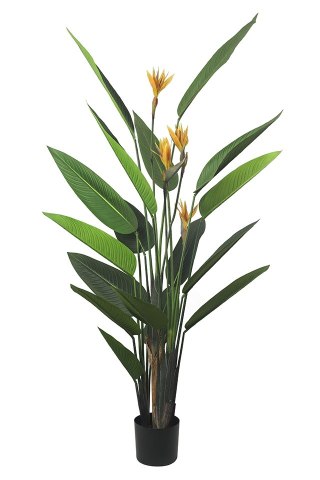 Kare Design KARE roślina dekoracyjna PARADISE FLOWERS 190 cm