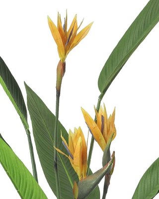 Kare Design KARE roślina dekoracyjna PARADISE FLOWERS 190 cm